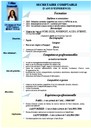 Fac similé d'un CV