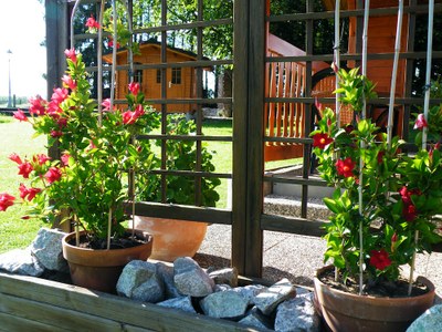 Gîte "la cluserette" avec jacuzzi — waldighoffen Créatif Savoyard chalet