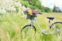 Image Vélo-fleurs
