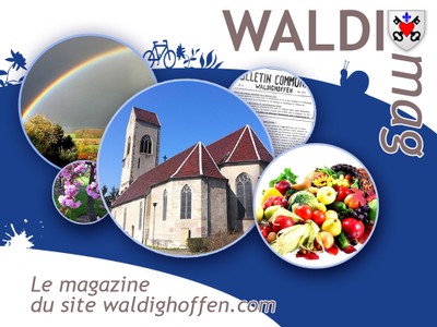 Image WALDImag