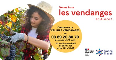 Affiche recherche vendangeuses 2024