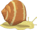 Image escargot