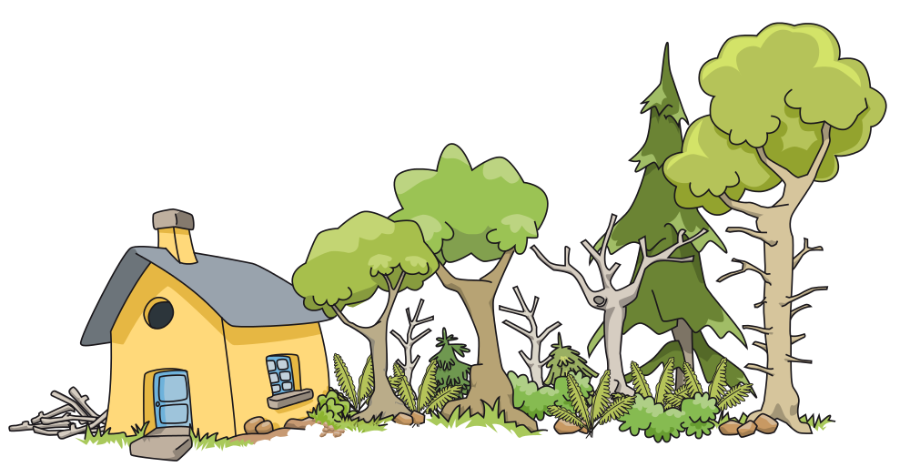Maison forêt