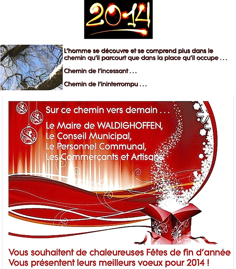 Voeux pour Noël 2013 et pour l'année 2014