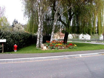 Parterre de tulipes près du cimetière