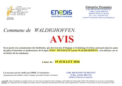 Affiche info élagage et abattage d'arbres