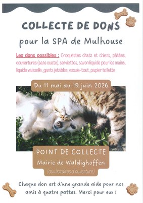 Collecte de dons pour la SPA de Mulhouse