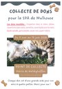 Collecte de dons pour la SPA de Mulhouse