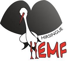 EMF Hirsingue logo