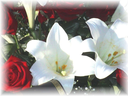 Photo bouquet de fleurs pour annoncer les décès sur le site.