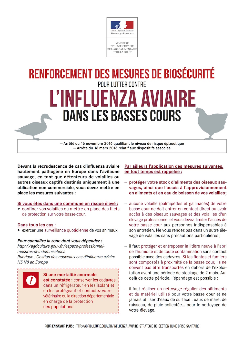 Flyer Influenza aviaire hautement pathogène H5N8