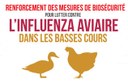 Image Influenza aviaire hautement pathogène H5N8