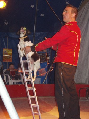 Cirque 13 avril chien savant