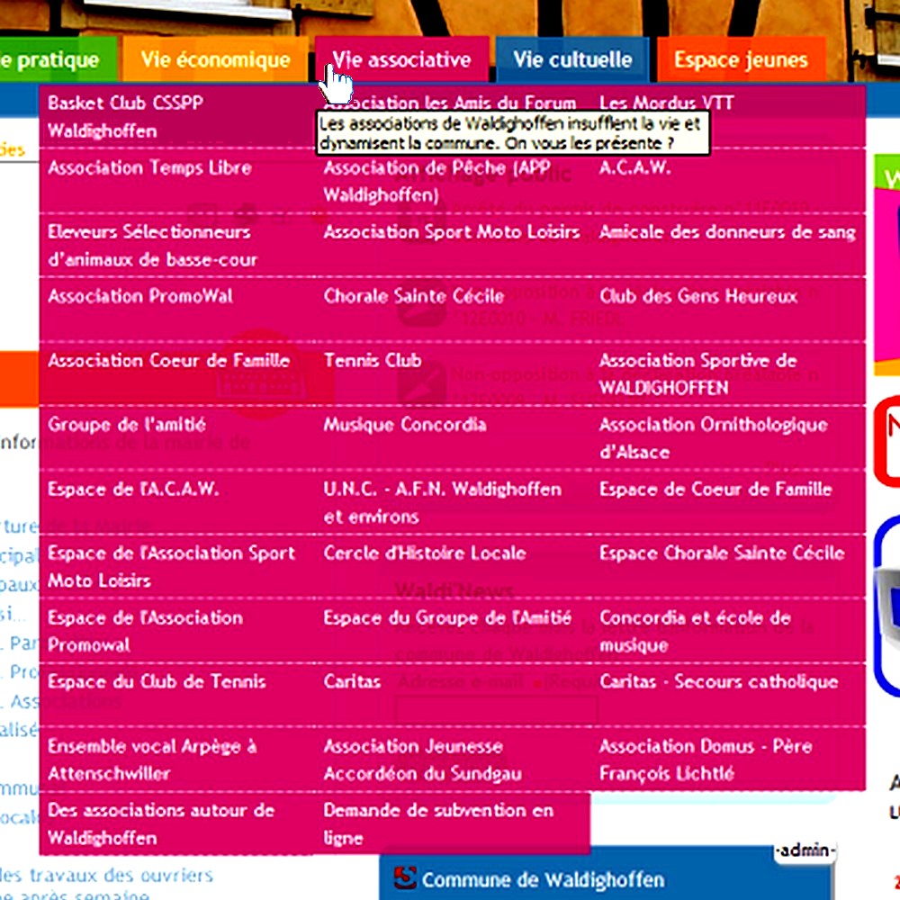Onglet Vie associative