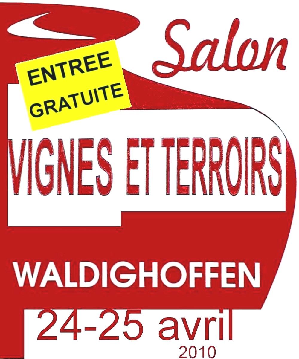 Logo Vignes et Terroir