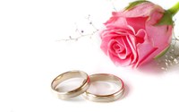 photo d'anneaux de mariage et une rose