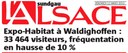 Titre de l'article bilan sur l'expo-habitat 2010 dans "l'Alsace"