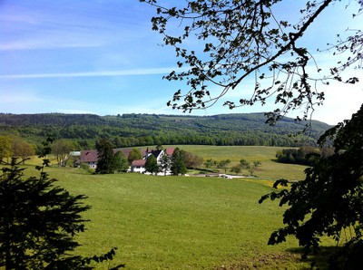 Le domaine vu depuis le chemin vers le château