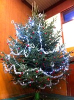 Le sapin