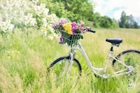 Image d'un vélo dans la nature avec un panier contenant des fleurs