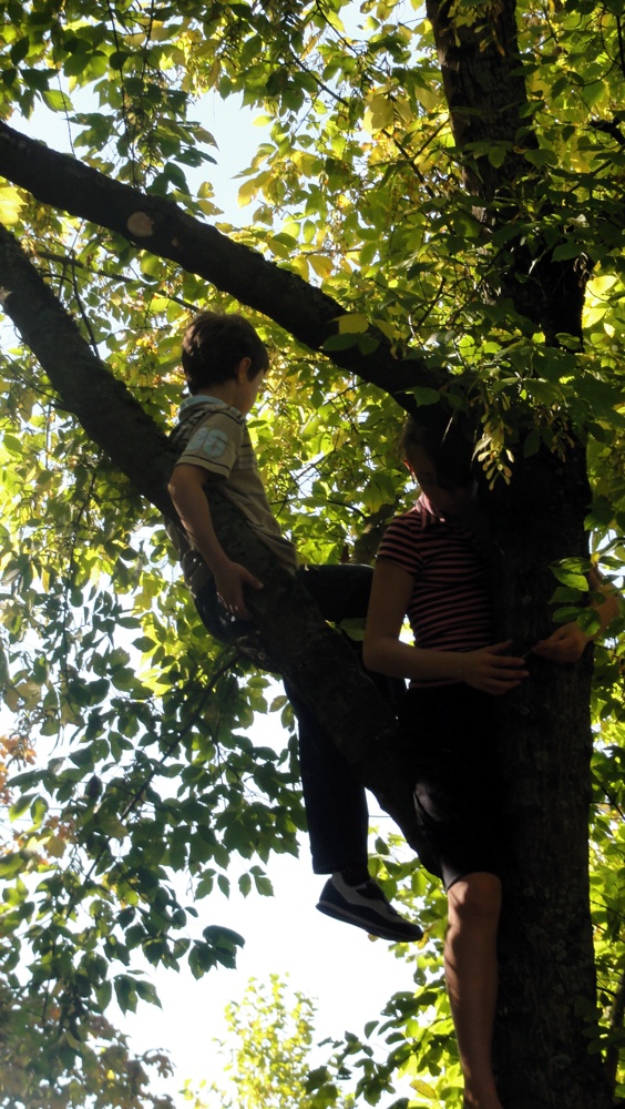 rallye de france alsace - supporters dans les arbres.JPG