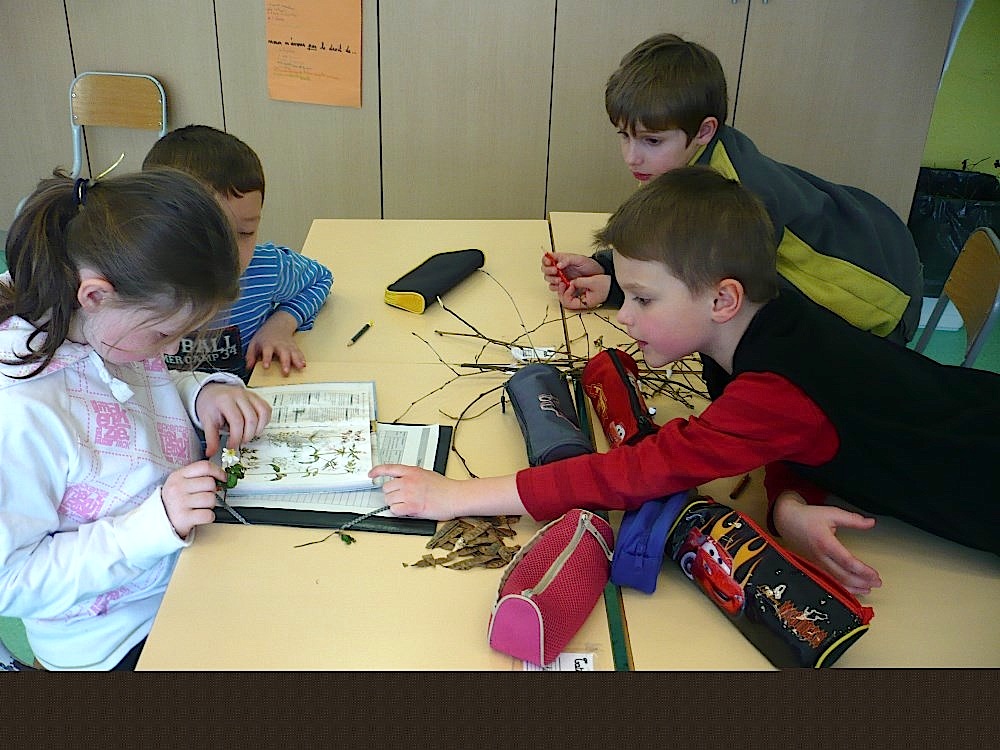 2013-04-02 CE1 - Après la récolte, il s'agit de nommer nos trouvailles