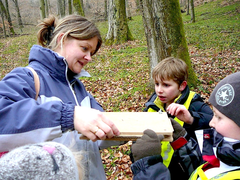 2013-04-05 CE1 - Les élèves cherchent des fleurs en forêt et les mettent sous presse