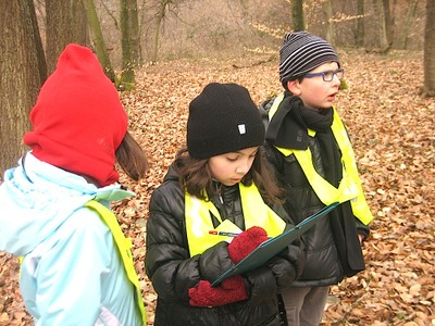 2013-04-02 CE2 bi-Les mammifères 1