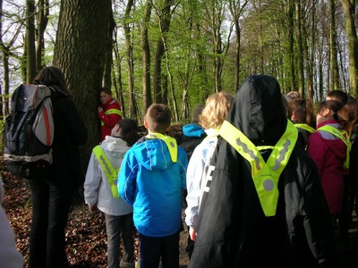 Entrée en forêt