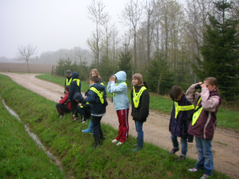 Observation des oiseaux 2