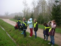 Observation des oiseaux 2