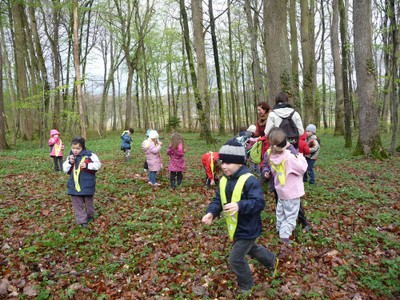 A la recherche de feuilles