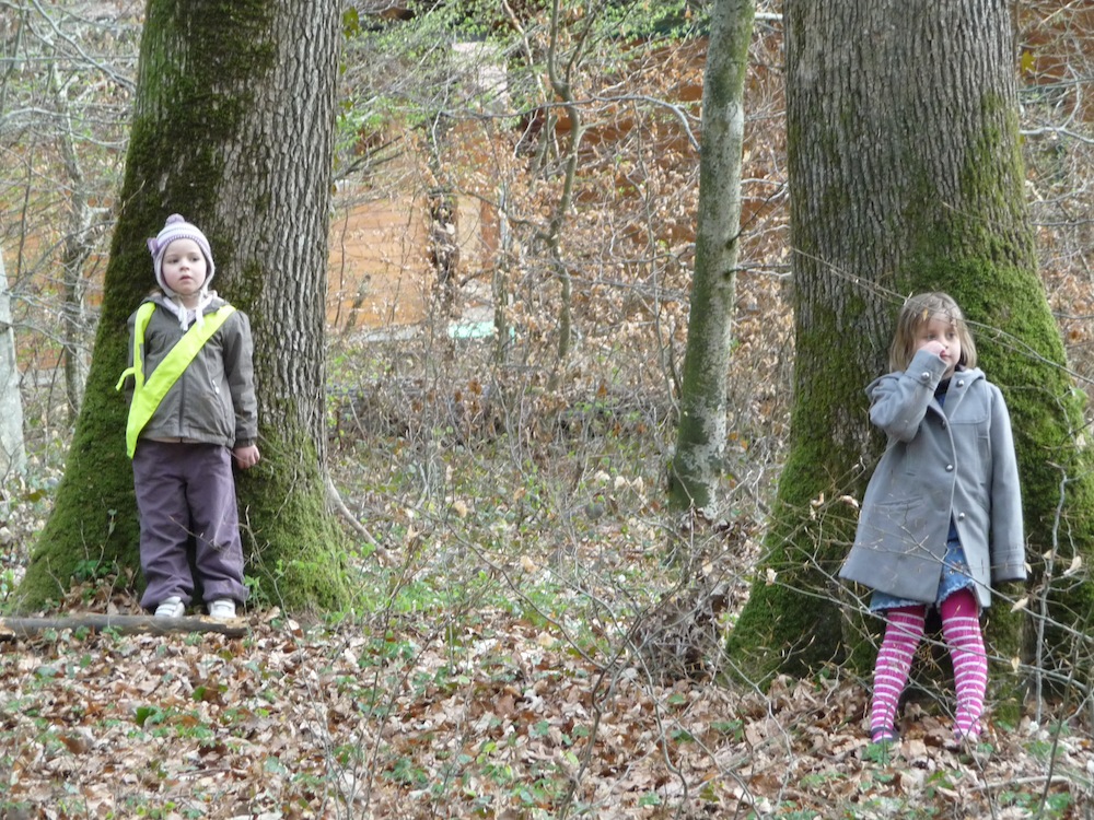 A chacun son arbre