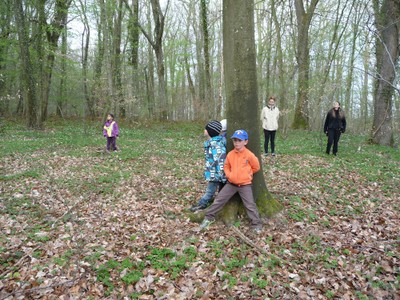 A plusieurs sur le même arbre