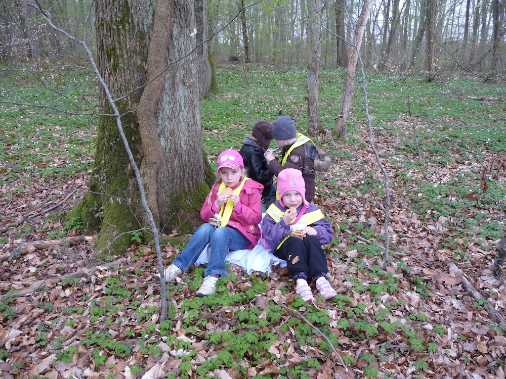 Goûter au pied d'un arbre