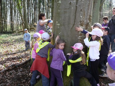 Combien d'enfants pour faire le tour