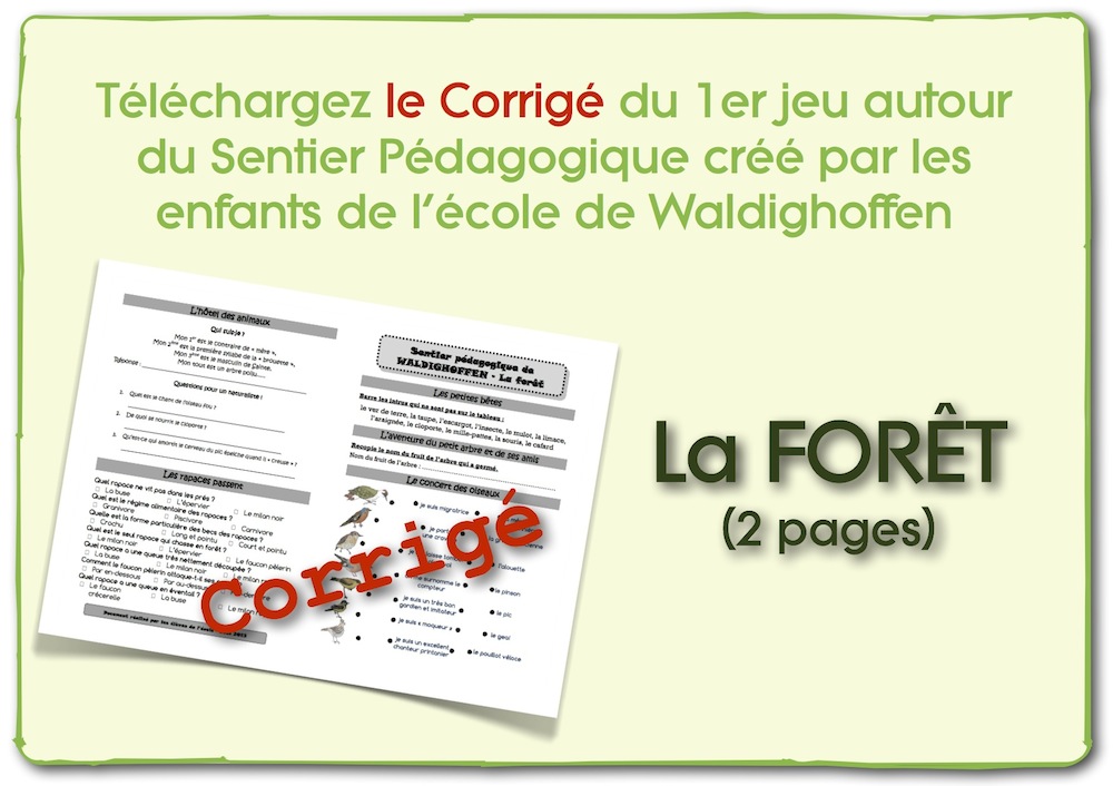 Corrigé 1er jeu