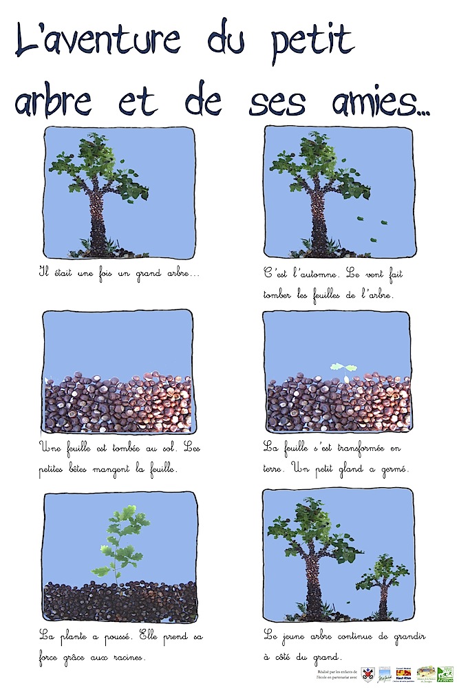 L'aventure du petit arbre et de ses amis