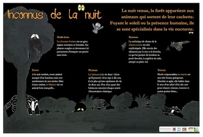 Inconnus de la nuit