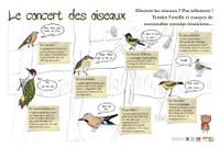 Le concert des oiseaux