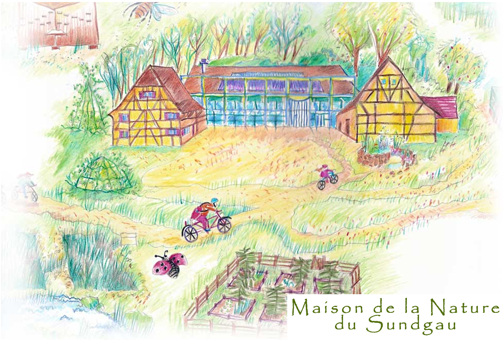 Illustration Maison de la Nature du Sundgau