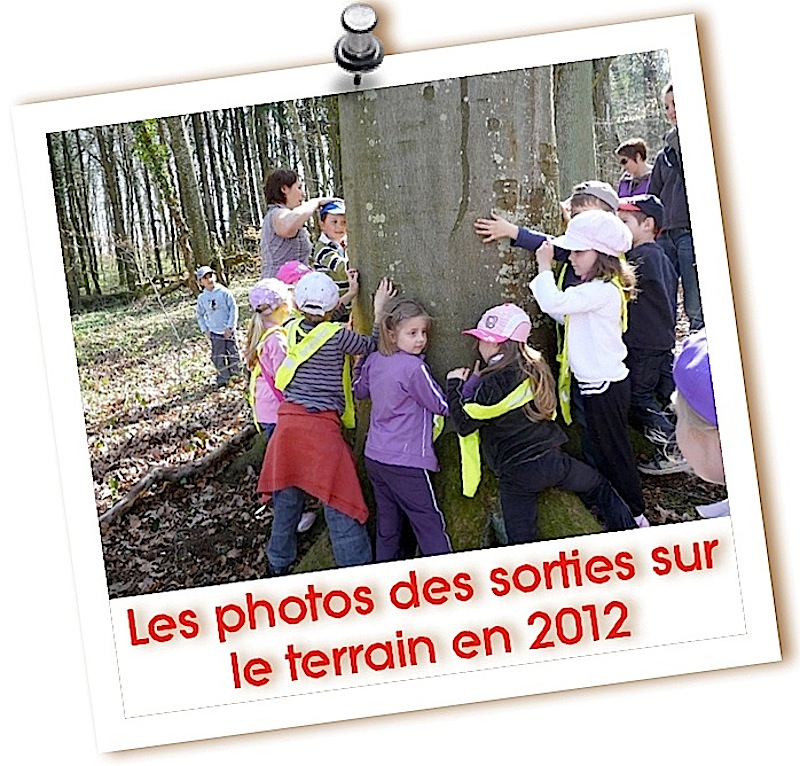 Sorties 2012