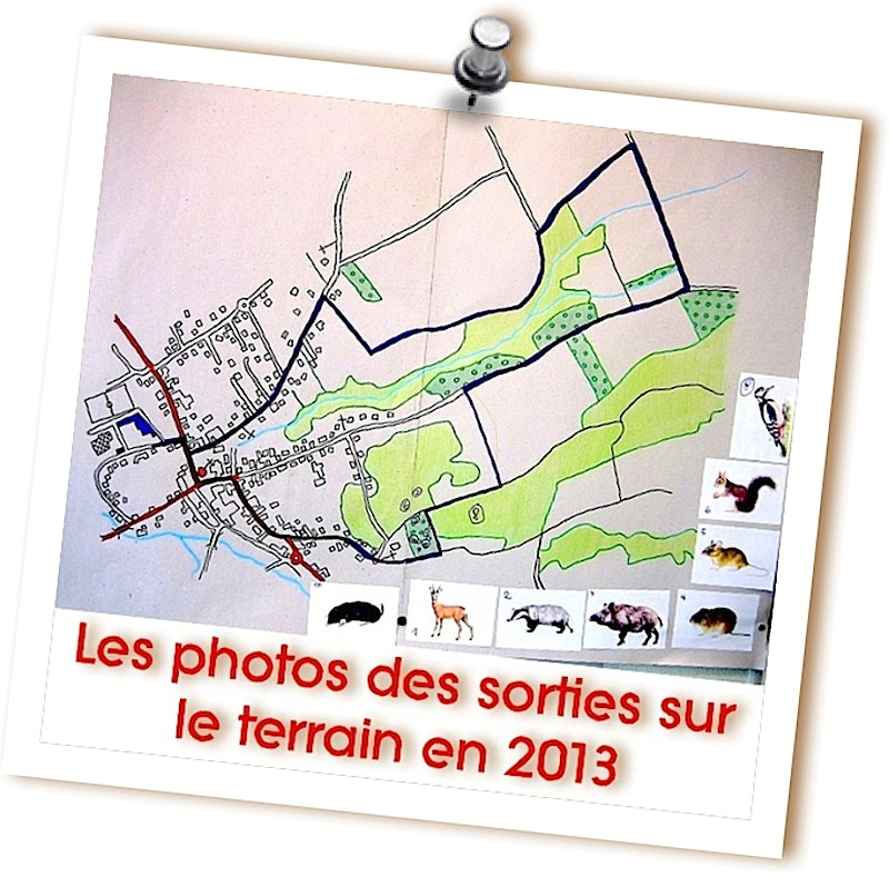 Sorties 2013