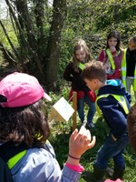 Lecture du panneau de la bergeronnette