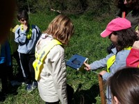 Lecture du panneau - le col vert