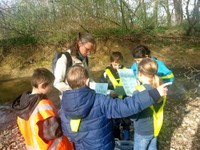 Lecture du règlement du naturalise