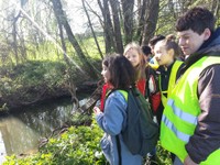 Observation des berges