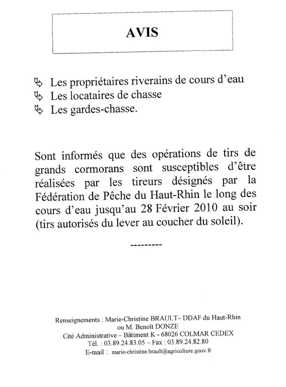 Avis de tir de grands cormorans