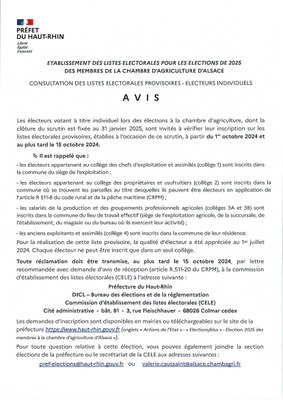 Avis - Consultation des listes électorales provisoires - Electeurs individuels. 2025