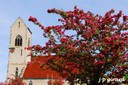 Le printemps sur la place Jeanne d'Arc à WALDIGHOFFEN